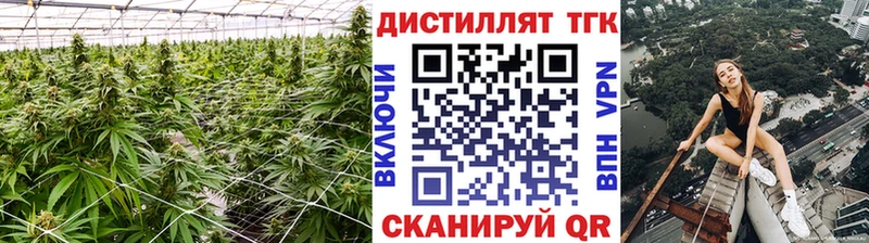 ТГК концентрат  сколько стоит  Заозёрск 